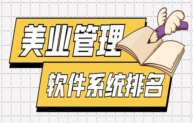 2021六大美业管理软件系统排名