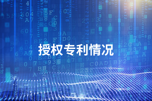 授权专利情况是什么?授权专利情况的意思