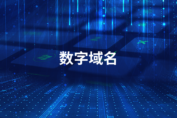 數字域名是什么 數字域名有什么用處