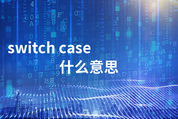 switch case什么意思
