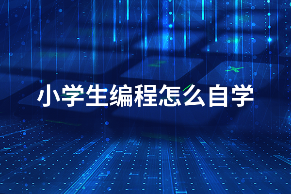 小学生编程怎么自学