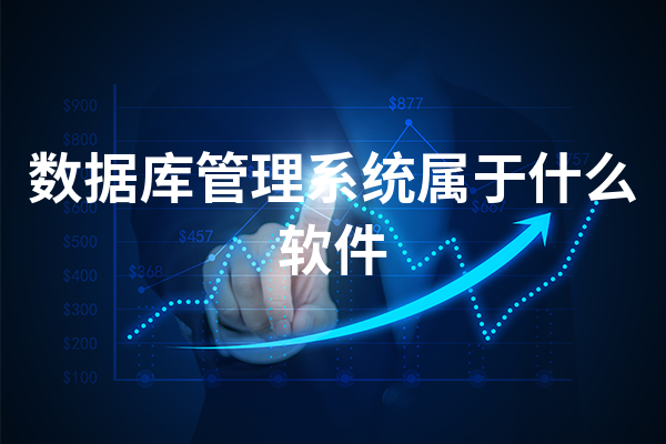 数据库管理系统属于什么软件