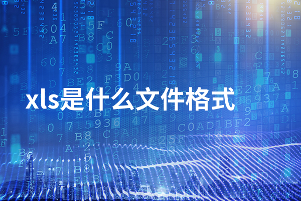 xls是什么文件格式