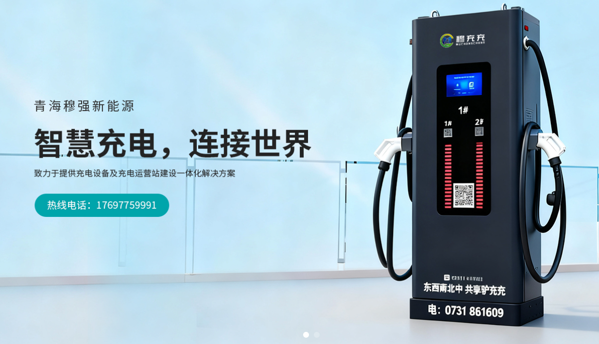 口碑好的新能源产品厂家：青海穆强新能源有限公司谈充电桩标准化趋势