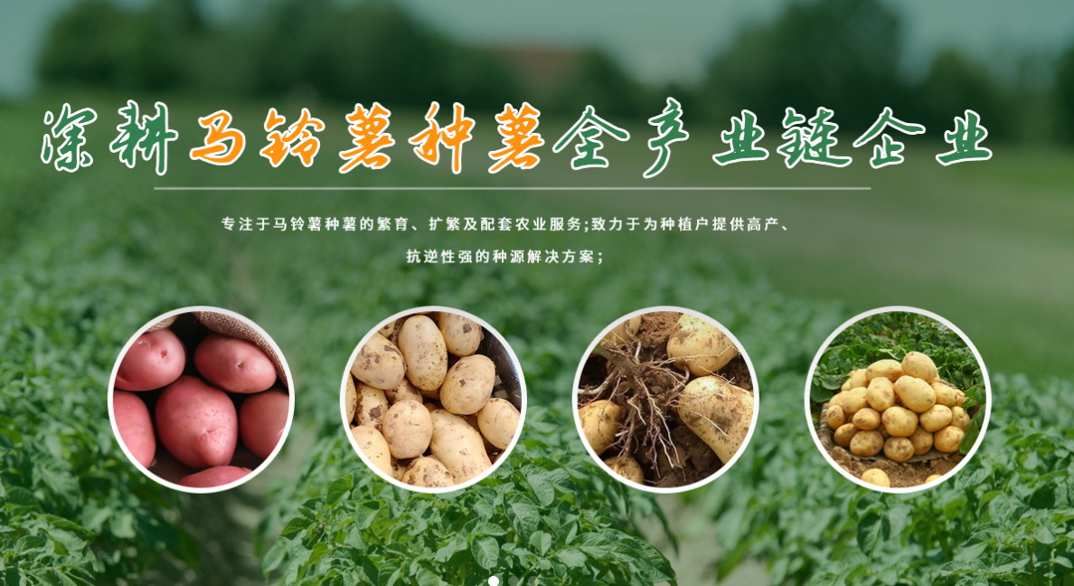 口碑好的马铃薯供应商：呼伦贝尔冠嘉农业的种薯全产业链探析