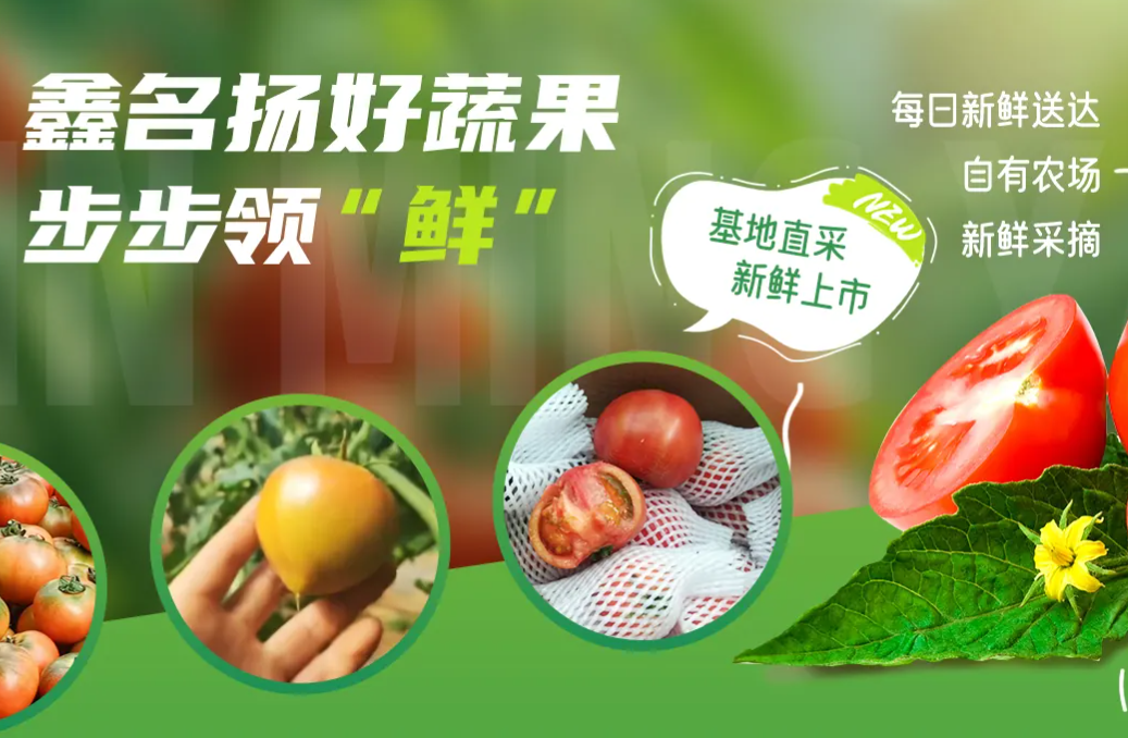 北京水果供应商：鑫名扬农业科技的绿色果蔬供应解答