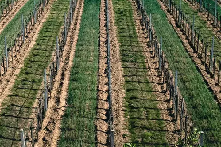 农企制定战略要落地，主要以构建渠道为核心