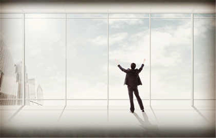 什么是有限责任公司？