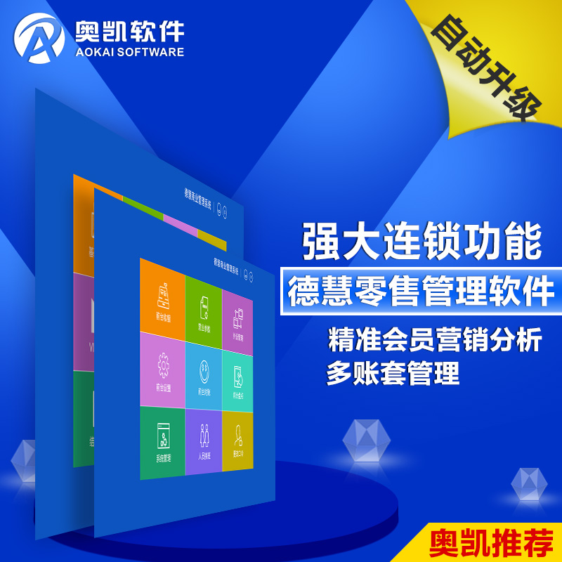 奥凯德慧V15商业管理系统