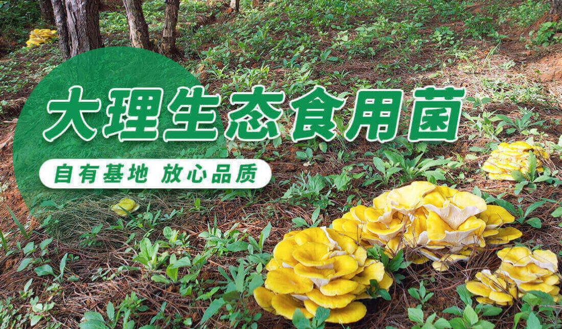 1769148751880058.png 7d3ed074-2a95-4665-892d-555286012ebe.png