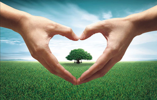 如何判断一个网站做的好不好？