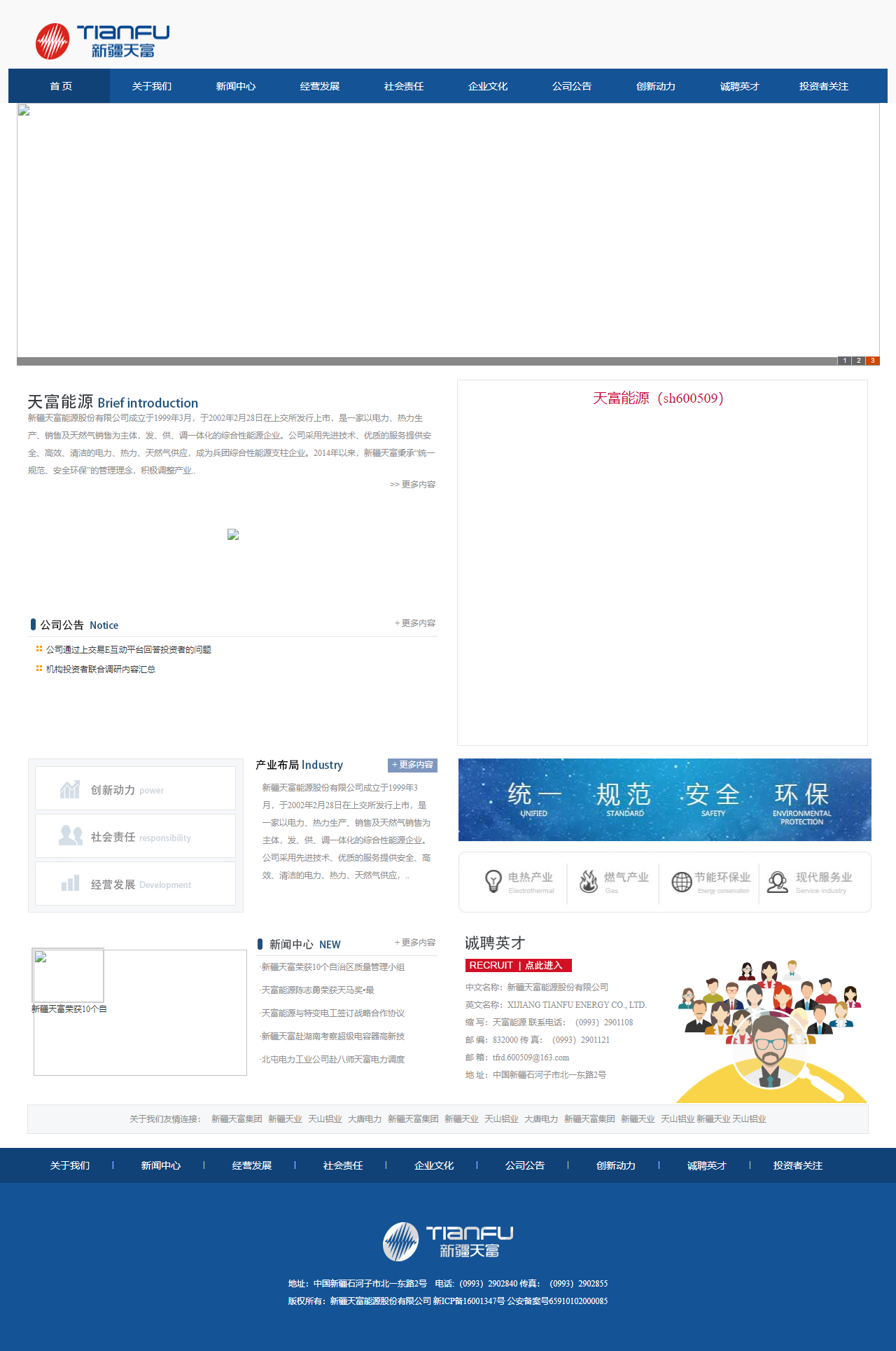 新疆天富集团有限责任公司网站案例