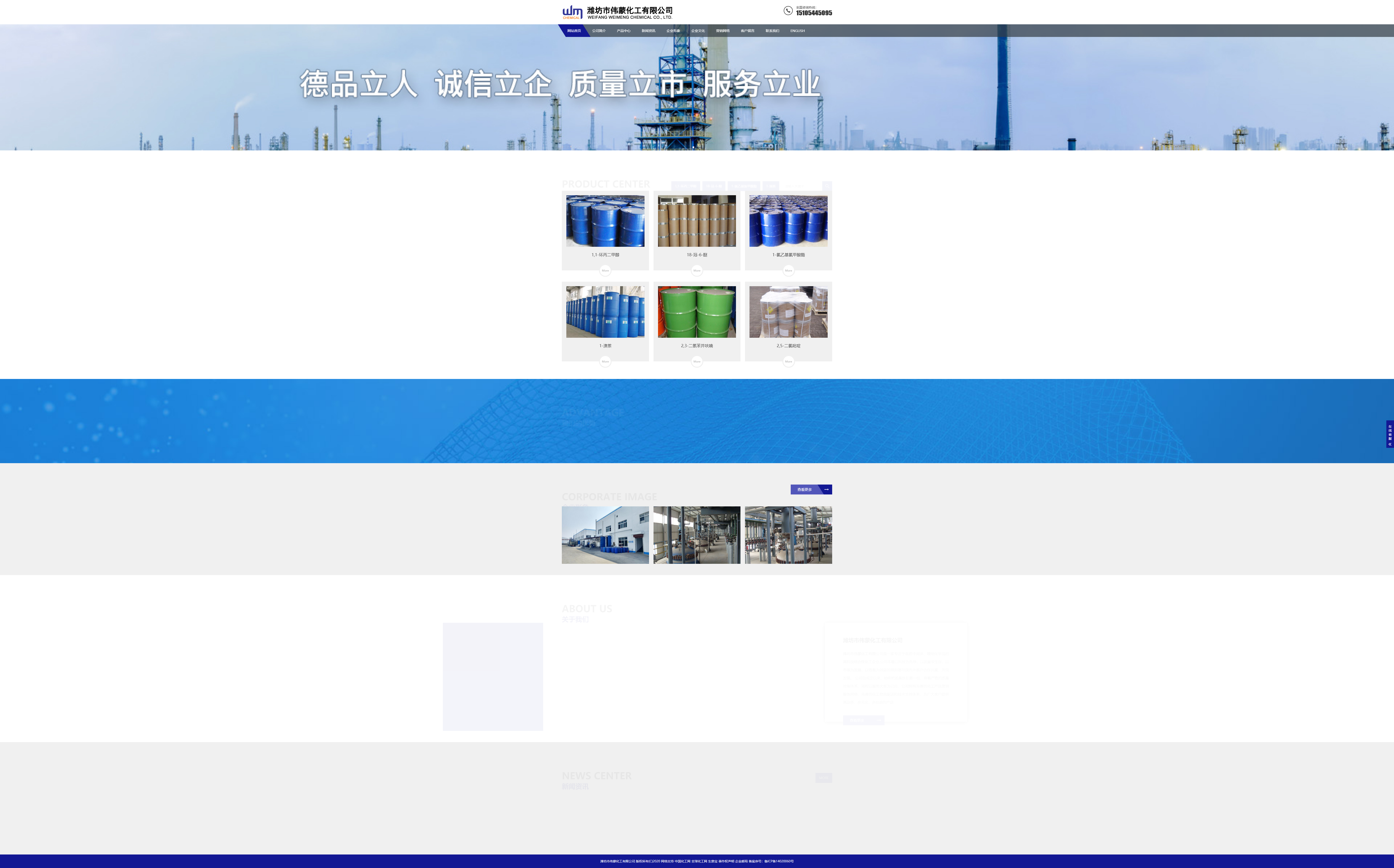 潍坊市伟蒙化工有限公司网站案例