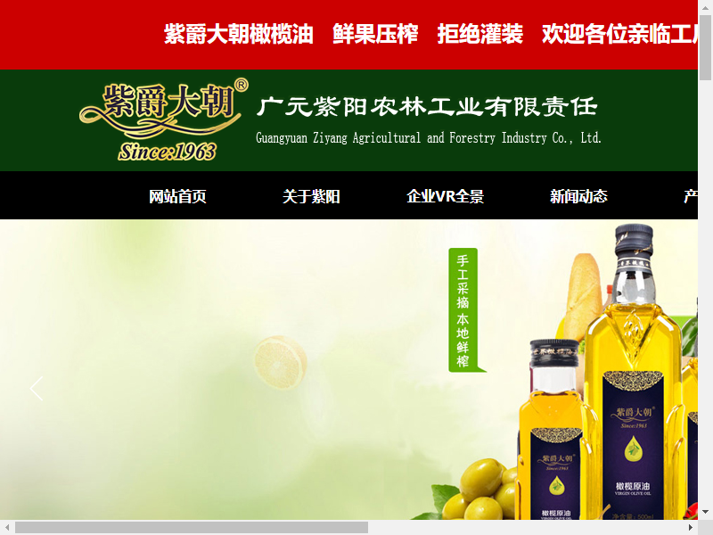广元紫阳农林工业有限责任公司网站案例