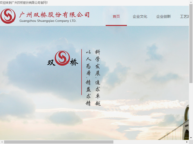 广州双桥股份有限公司网站案例