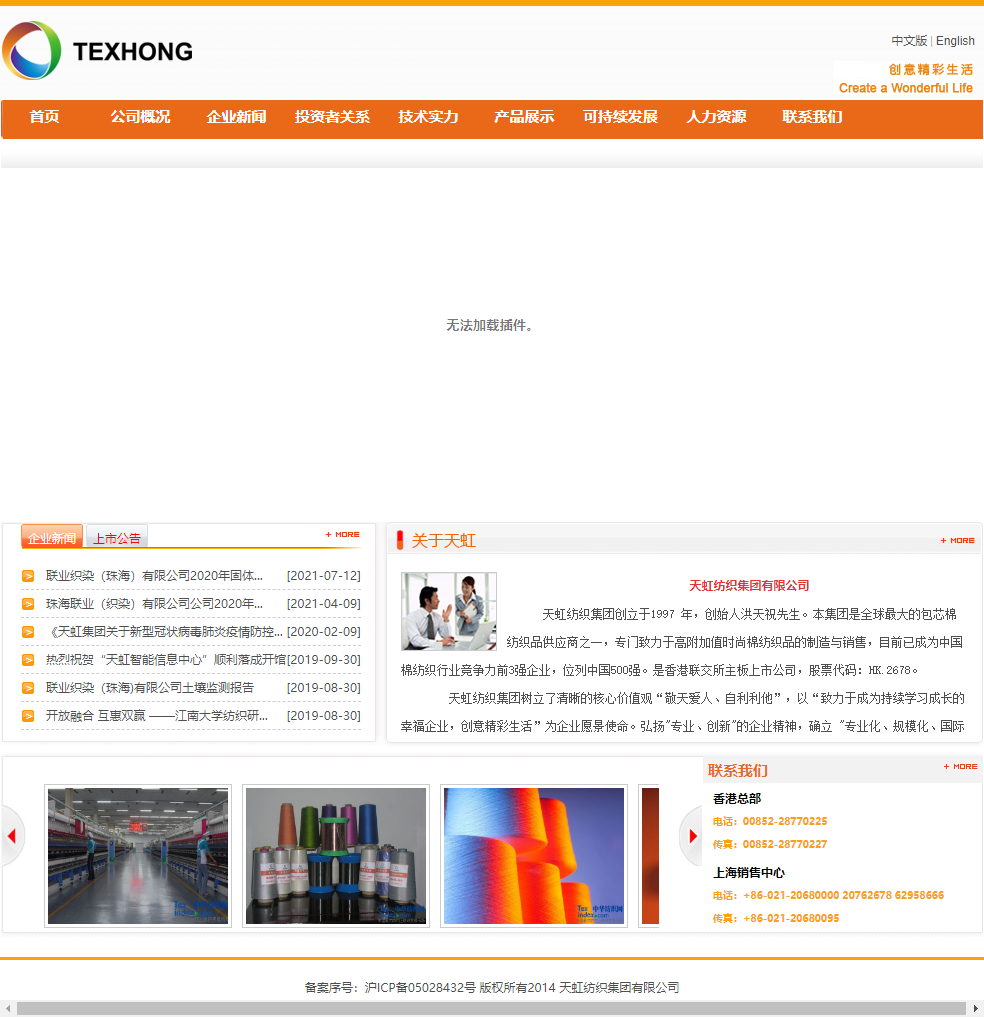 天虹（中国）投资有限公司网站案例