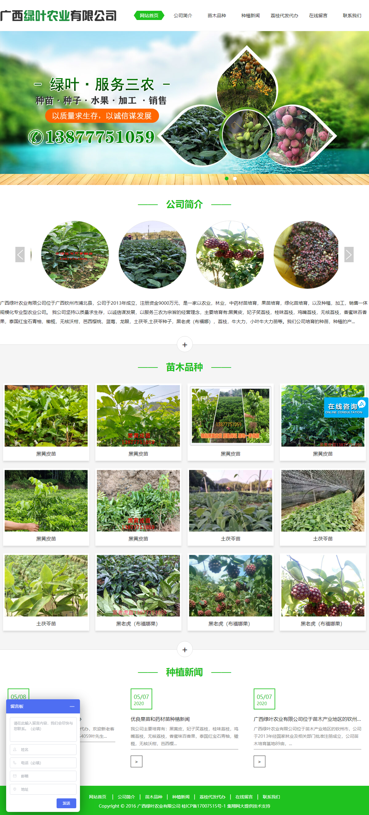 广西绿叶农业有限公司网站案例