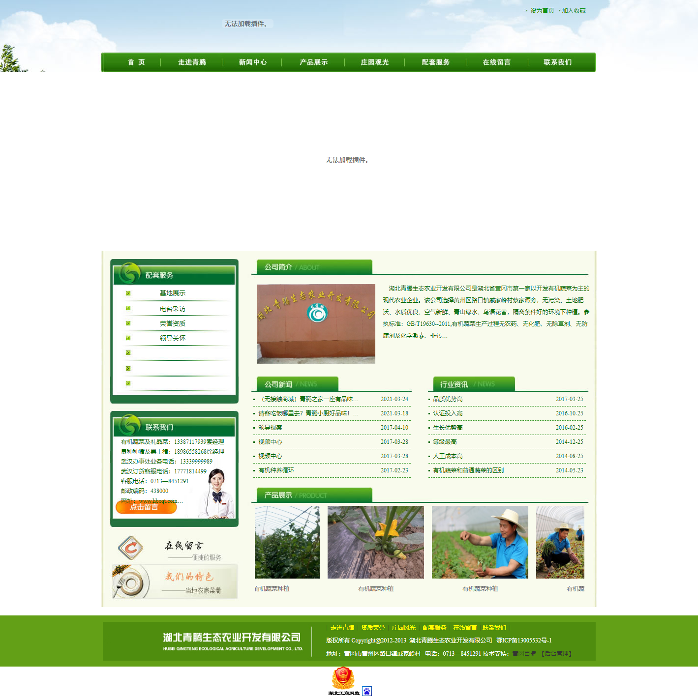 湖北青腾生态农业开发有限公司网站案例