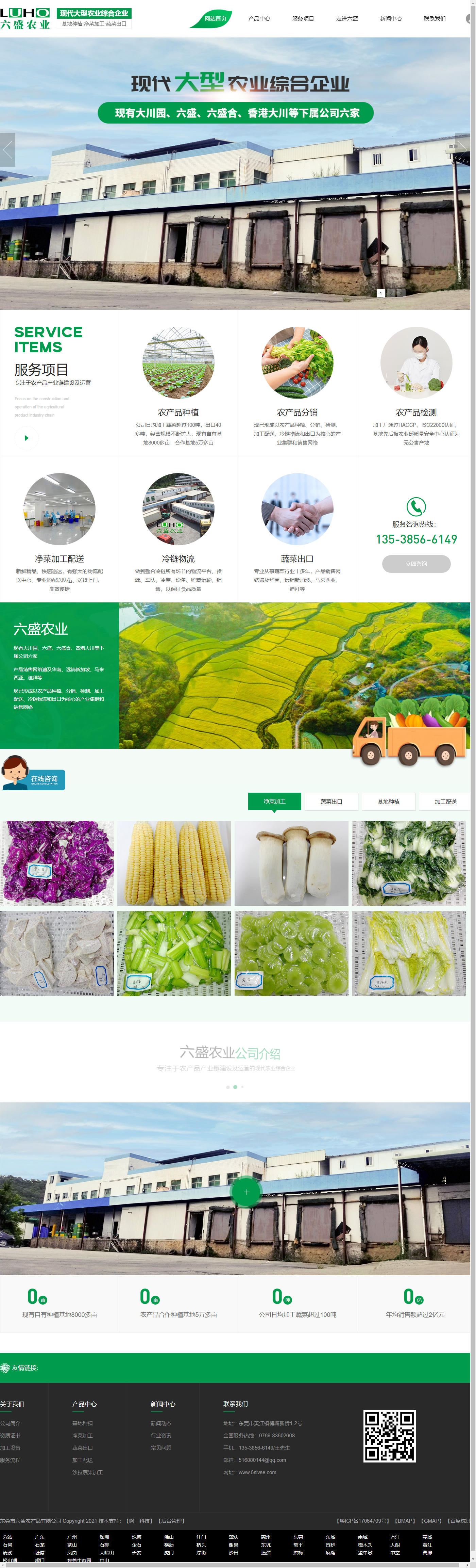 东莞市六盛农产品有限公司网站案例