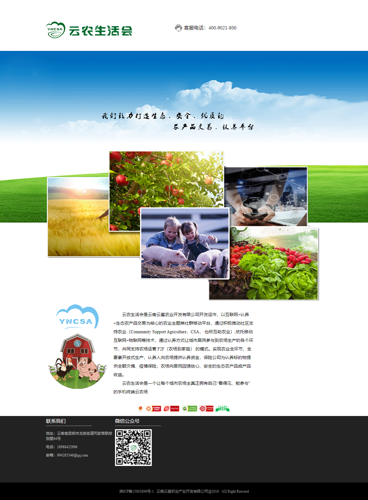 云南云基农业产业开发有限公司网站案例