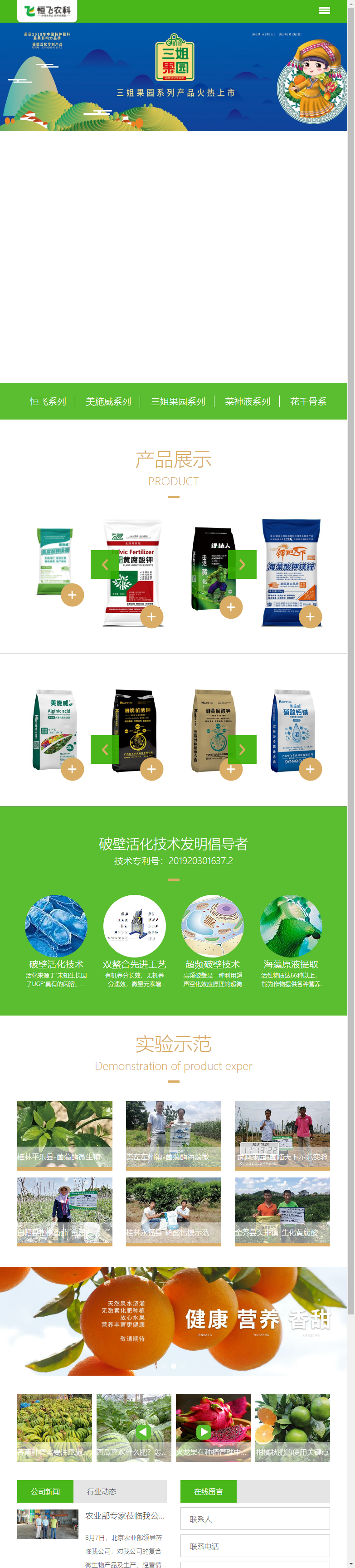广西恒飞农业科技有限公司网站案例