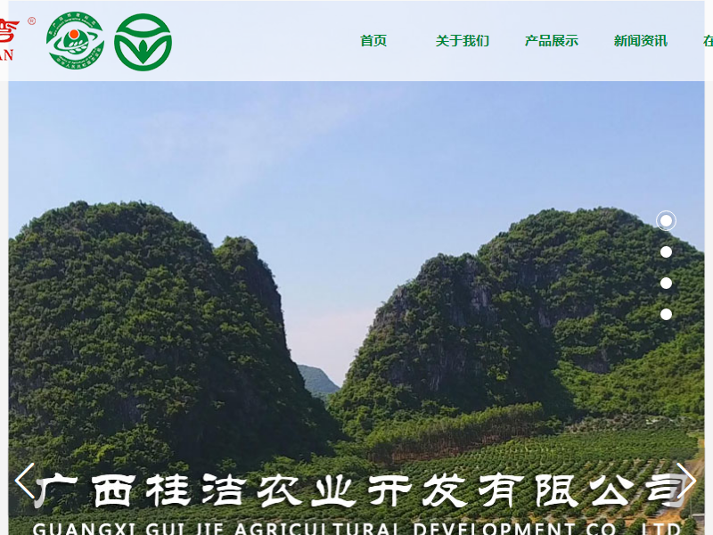 广西桂洁农业开发有限公司网站案例