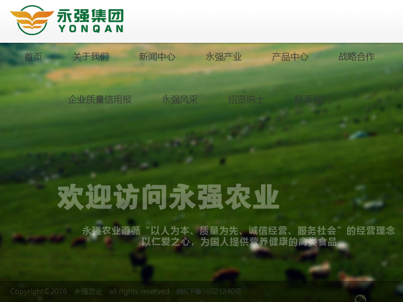 安庆永强农业科技股份有限公司网站案例