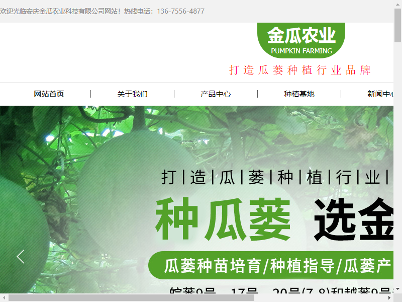 安庆金瓜农业科技有限公司网站案例