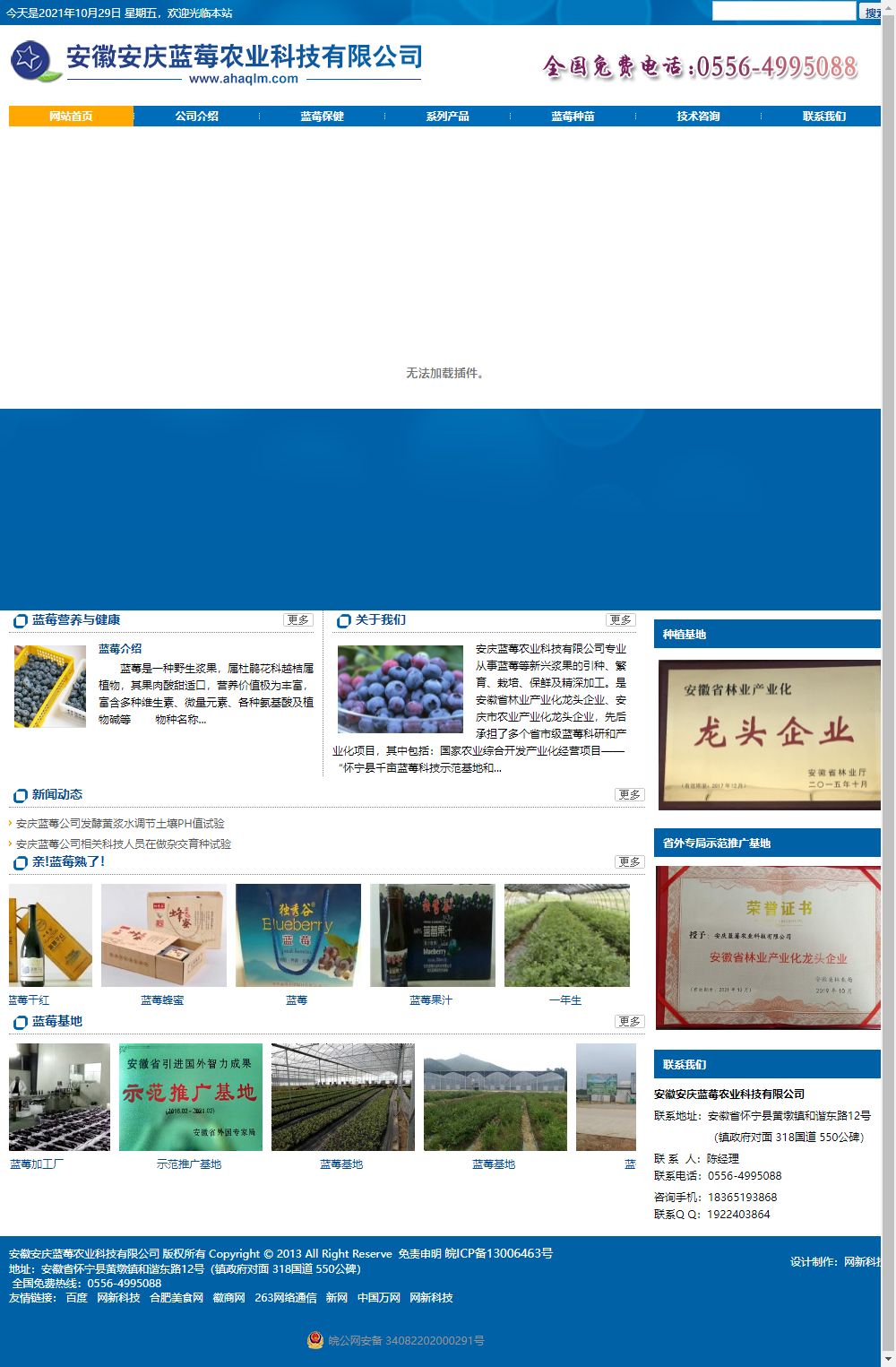 安庆蓝莓农业科技有限公司网站案例