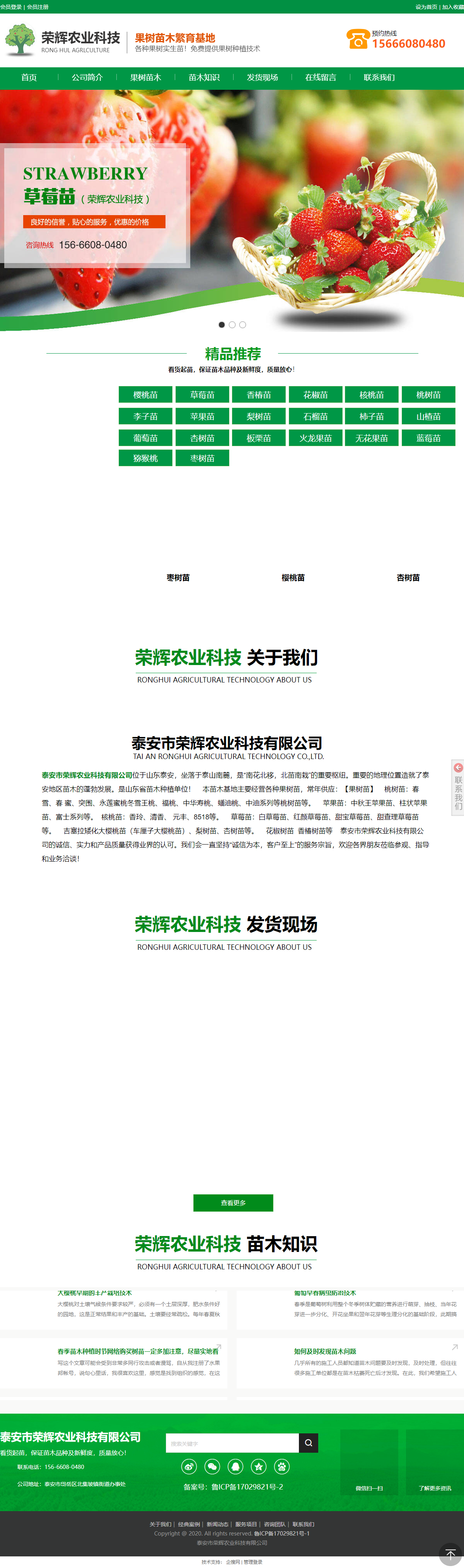 泰安市荣辉农业科技有限公司网站案例