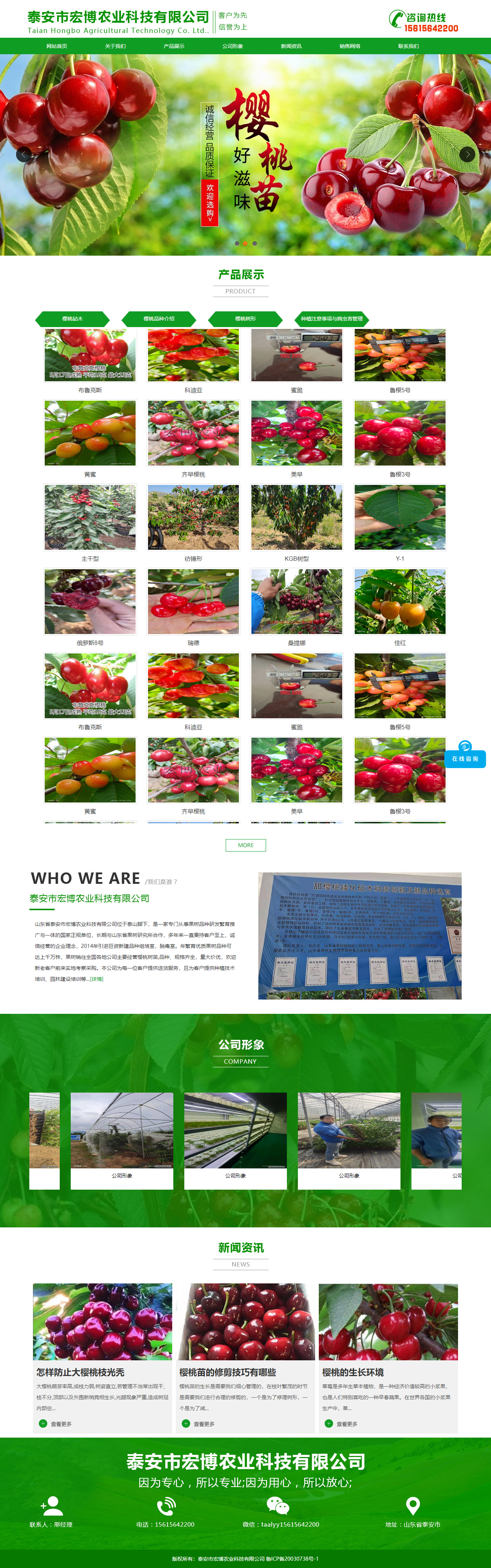 泰安市宏博农业科技有限公司网站案例