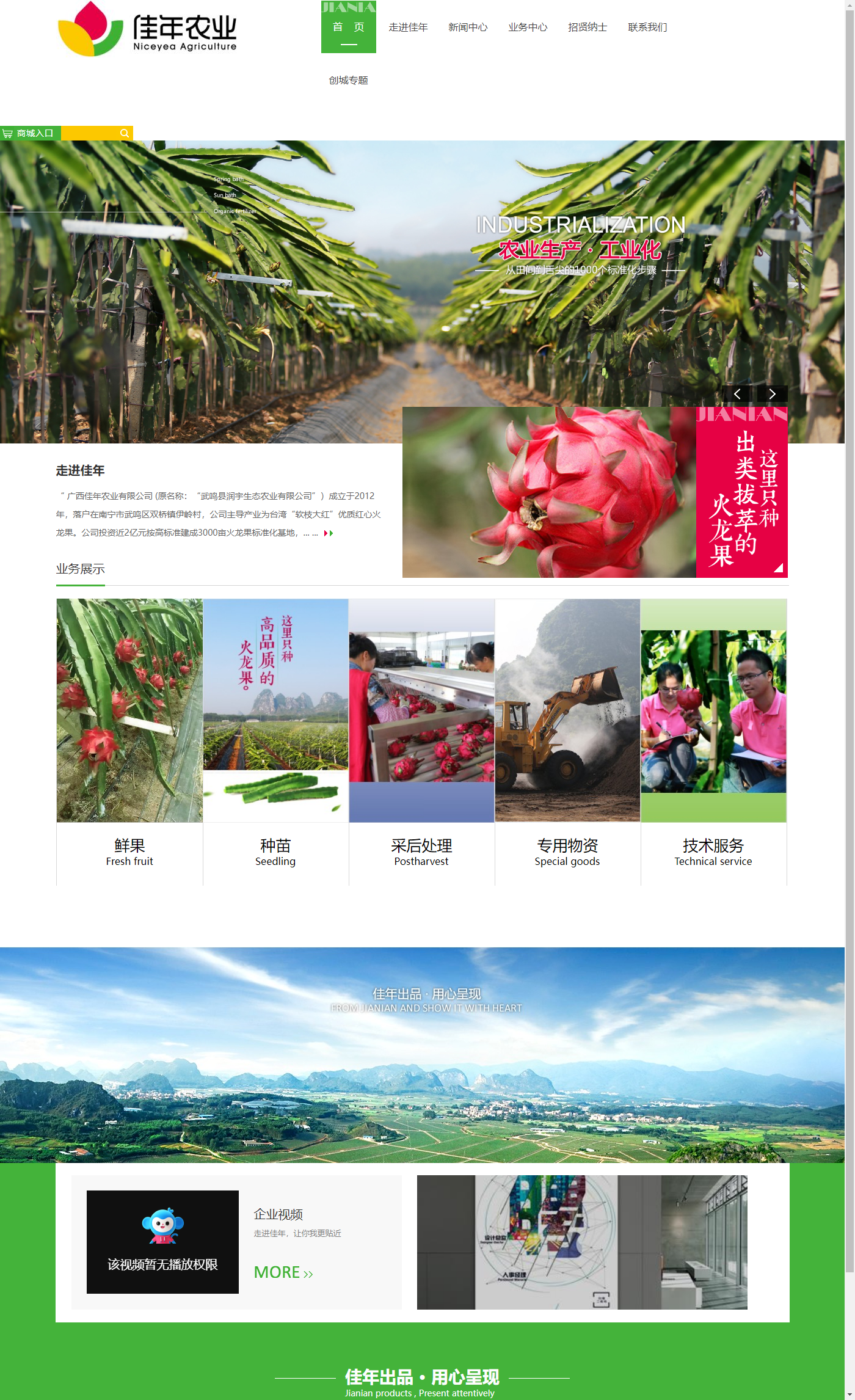 广西佳年农业有限公司网站案例