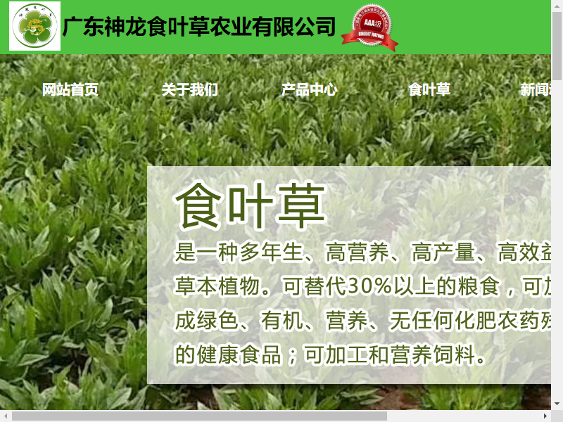 广东神龙食叶草农业有限公司网站案例