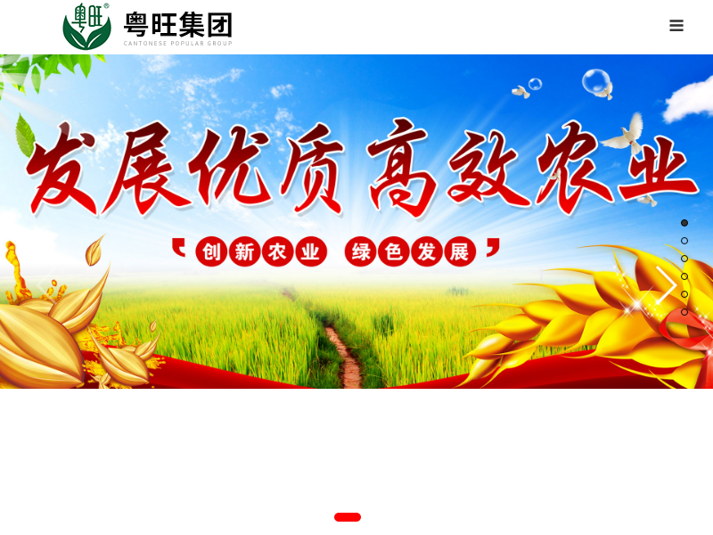 粤旺农业集团有限公司网站案例