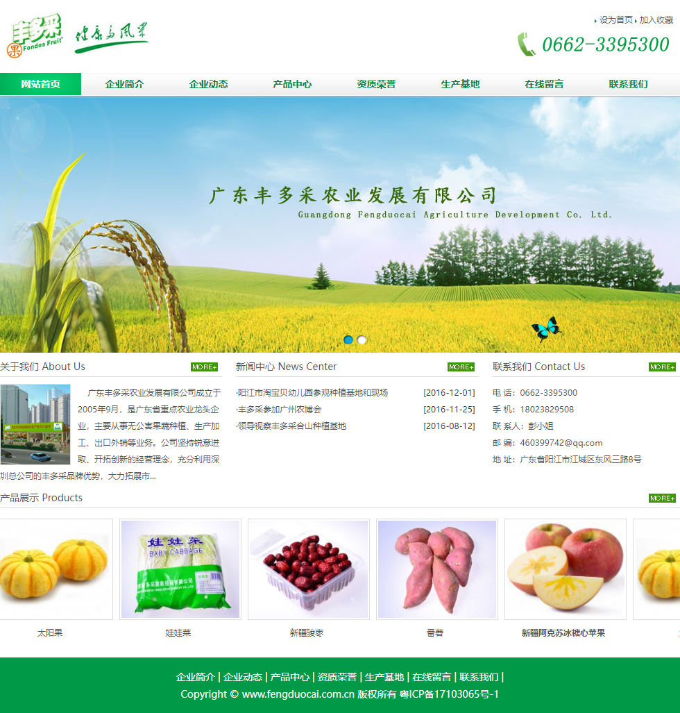 广东丰多采农业发展有限公司网站案例