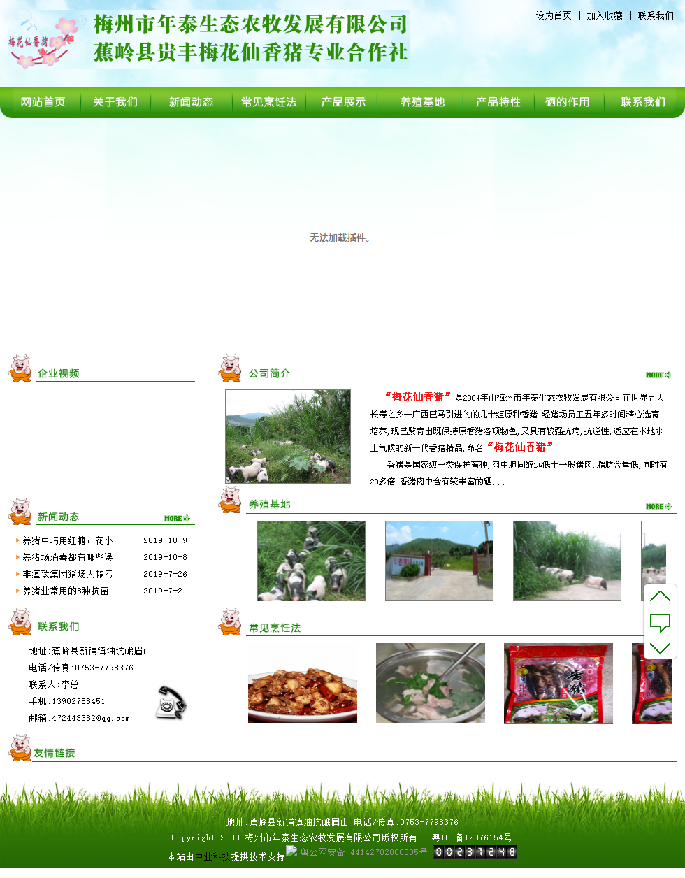 梅州市年泰生态农牧发展有限公司网站案例
