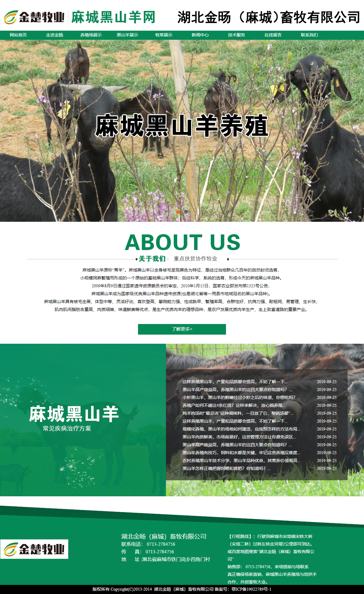 湖北金旸（麻城）畜牧有限公司网站案例