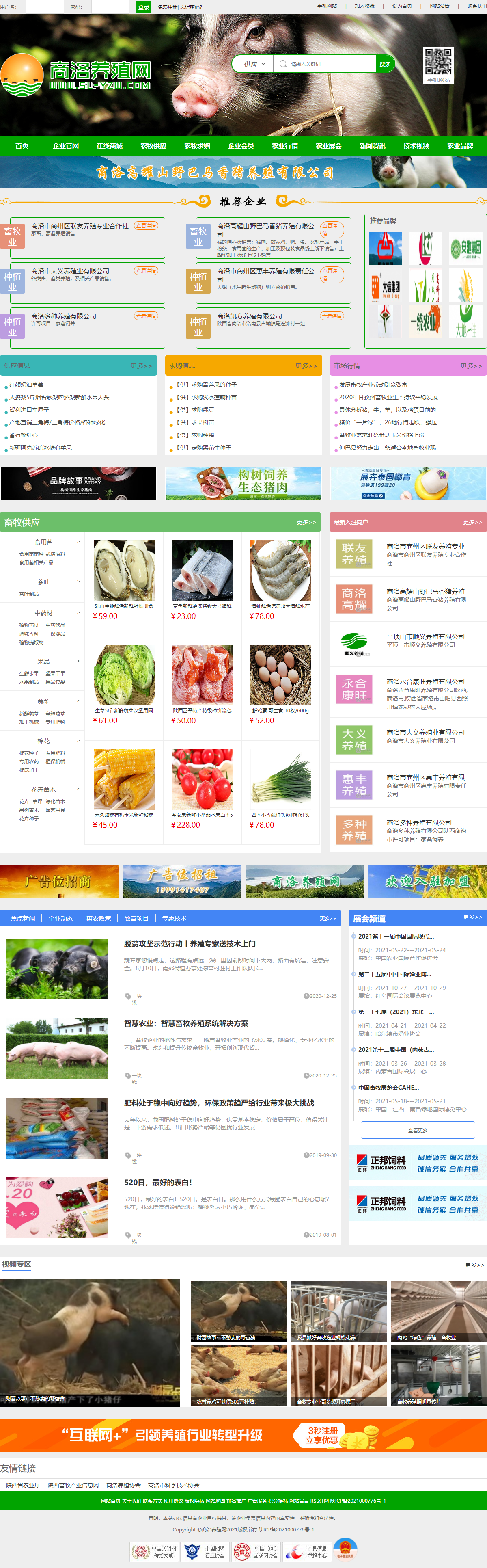 商洛高耀山野巴马香猪养殖有限公司网站案例