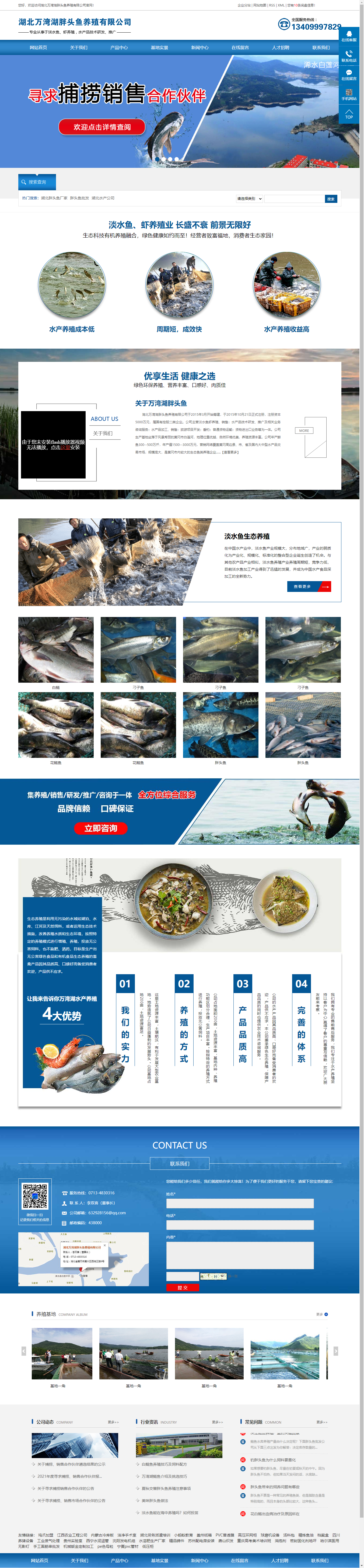 湖北万湾湖胖头鱼养殖有限公司网站案例