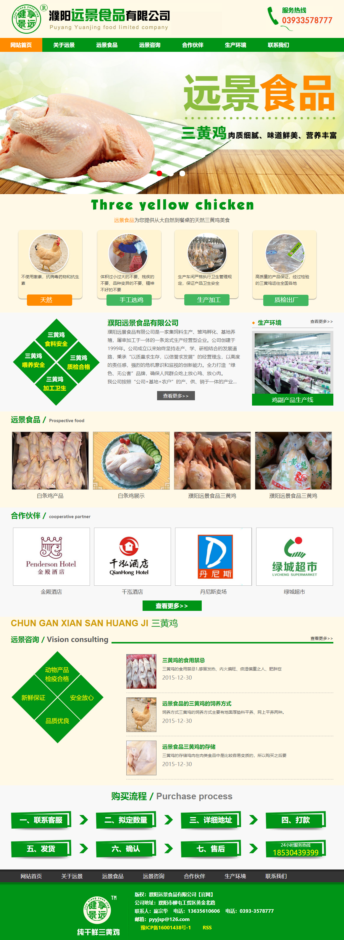 濮阳市远景食品有限公司网站案例