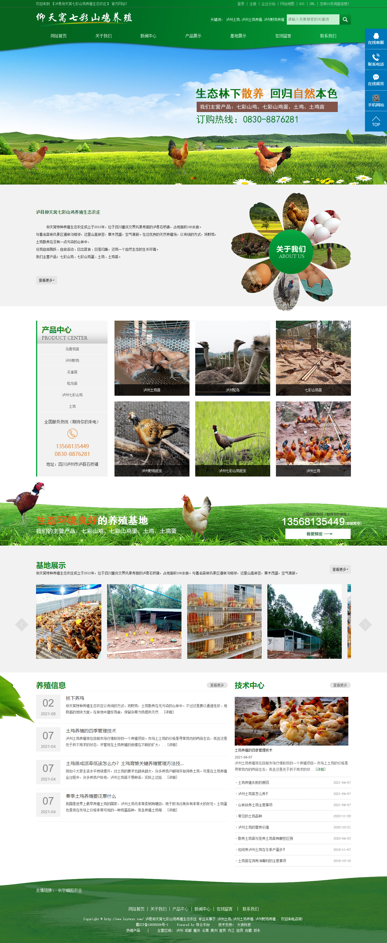 泸县仰天窝七彩山鸡养殖生态农庄网站案例
