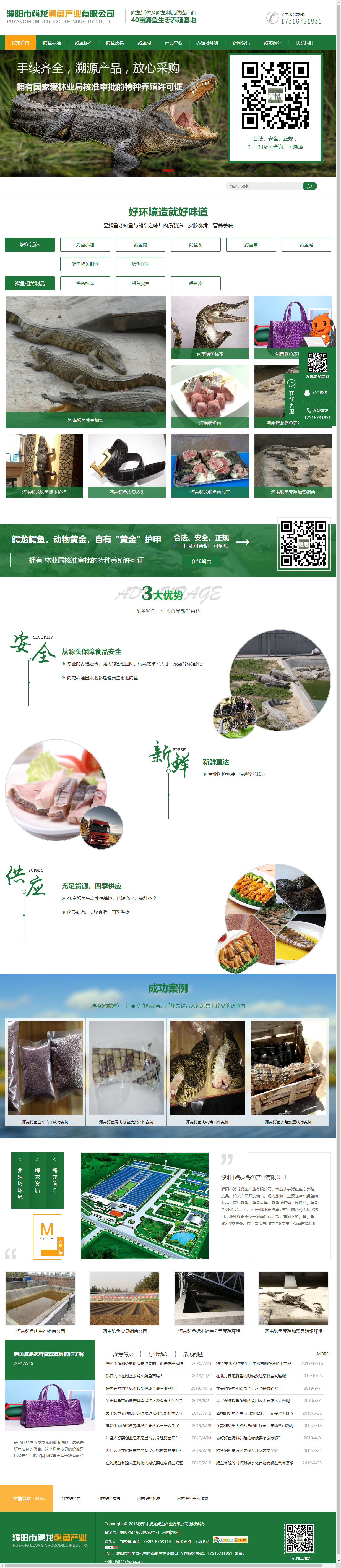 濮阳市鳄龙鳄鱼产业有限公司网站案例