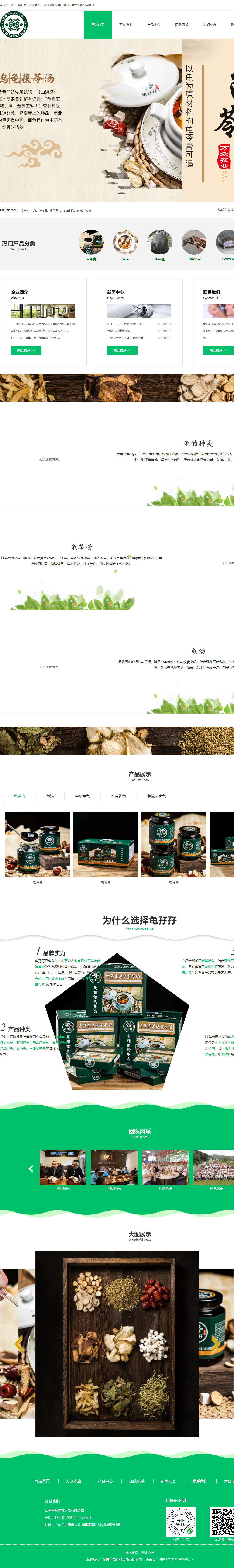 东莞市龟巴巴食品有限公司网站案例