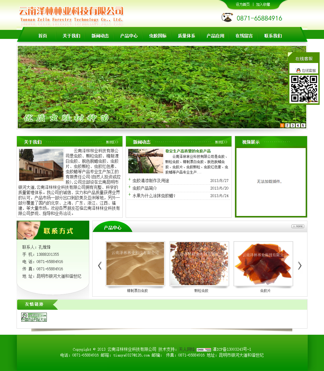 云南泽林林业科技有限公司网站案例