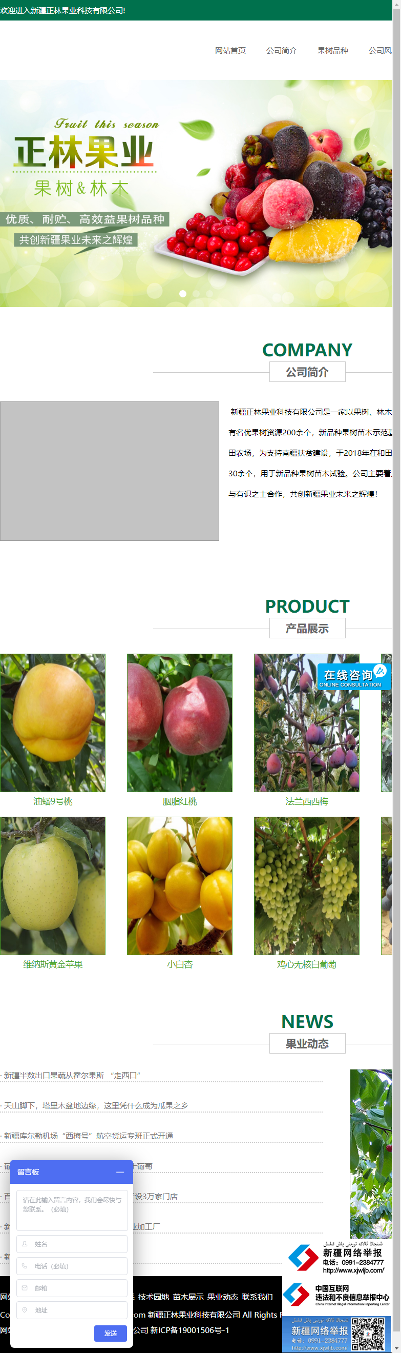 新疆正林果业科技有限公司网站案例
