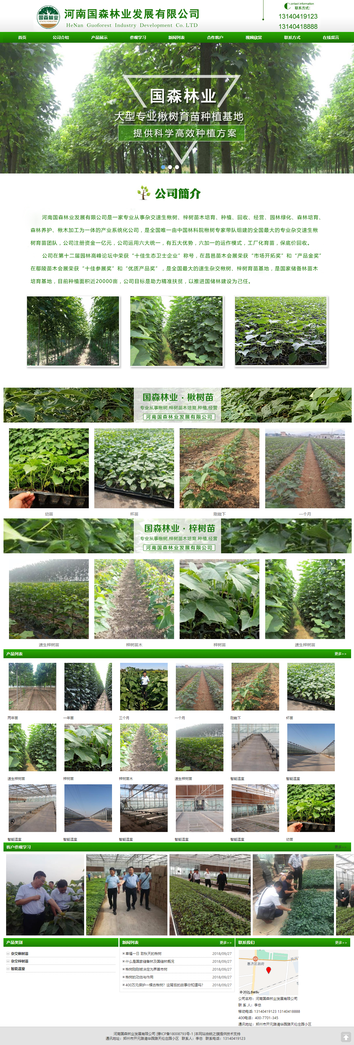 河南国森林业发展有限公司网站案例