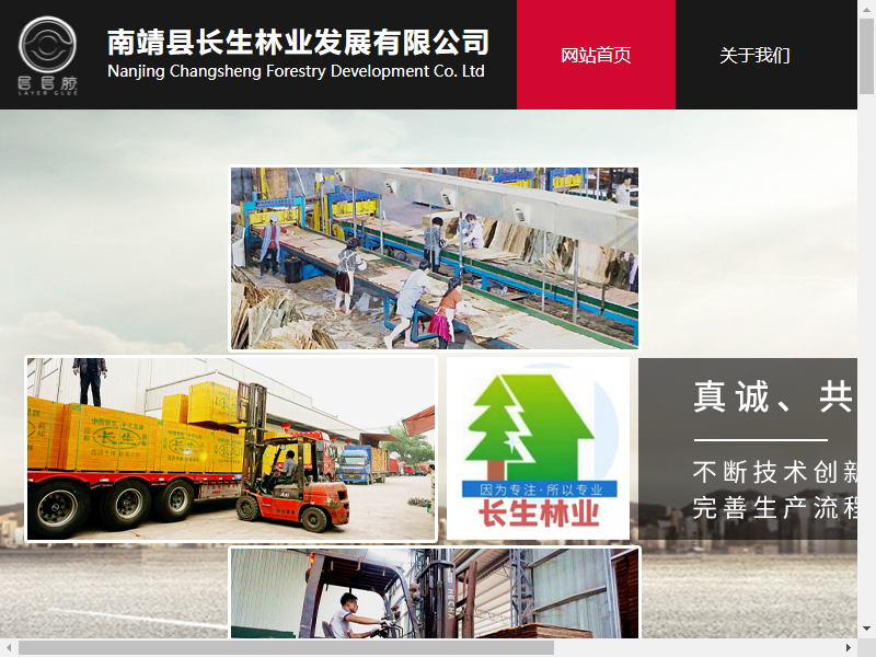 南靖县长生林业发展有限公司网站案例