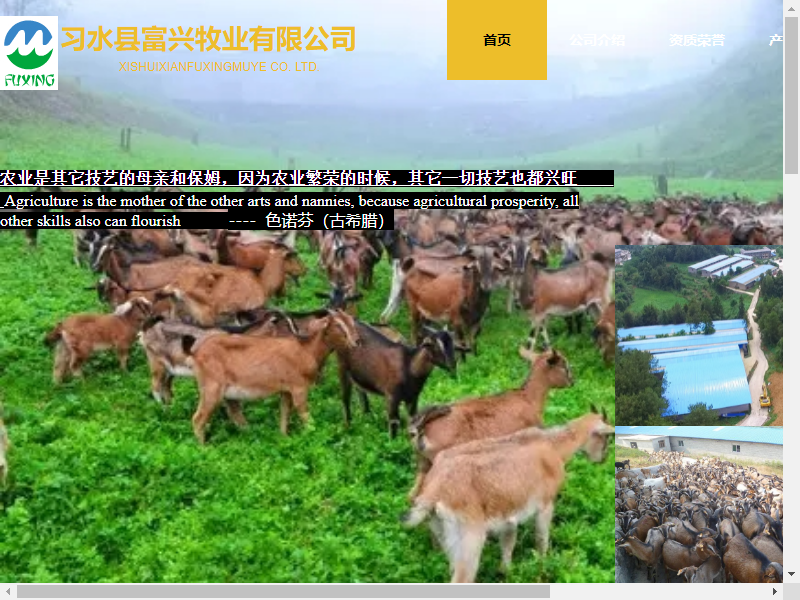 习水县富兴牧业有限公司网站案例