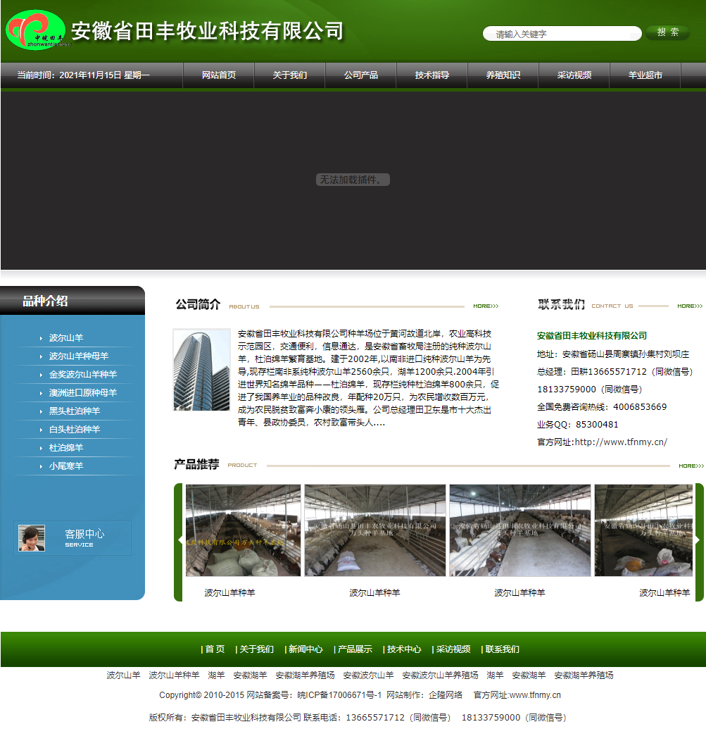 安徽省田丰牧业科技有限公司网站案例