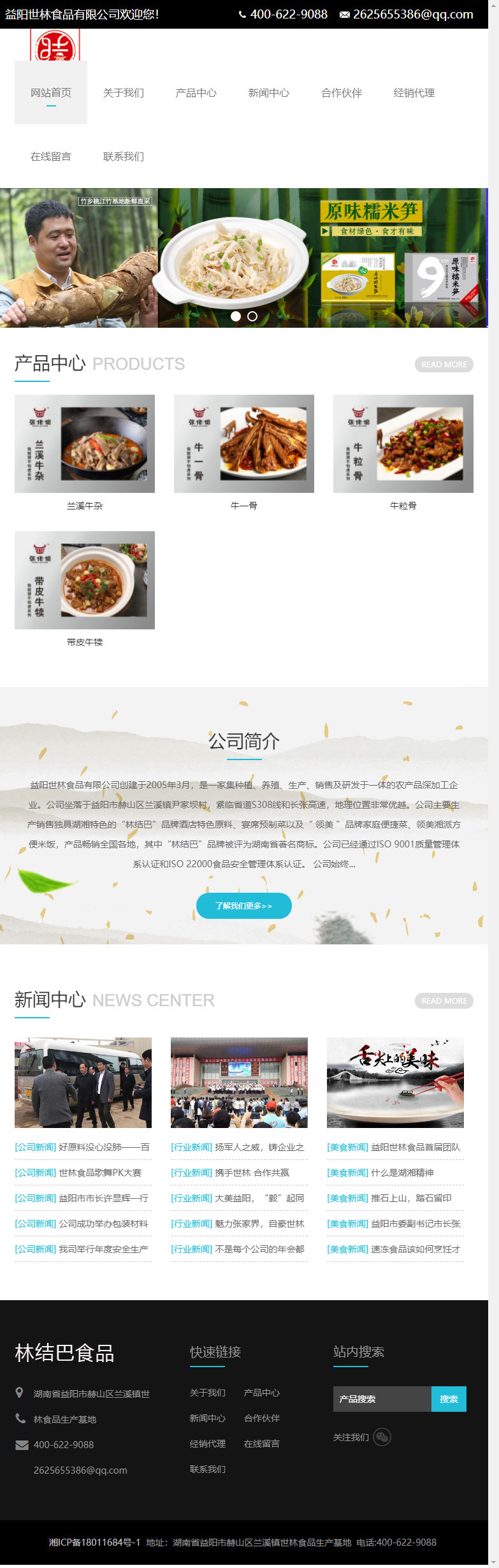 益阳世林食品有限公司网站案例
